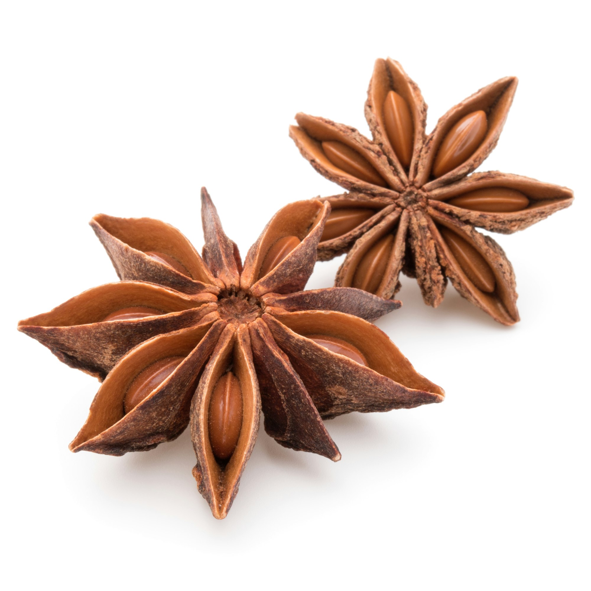 Star anise spice fruits and seeds isolated on white background closeup